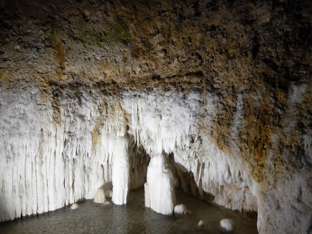 Harrison Cave, Barbados