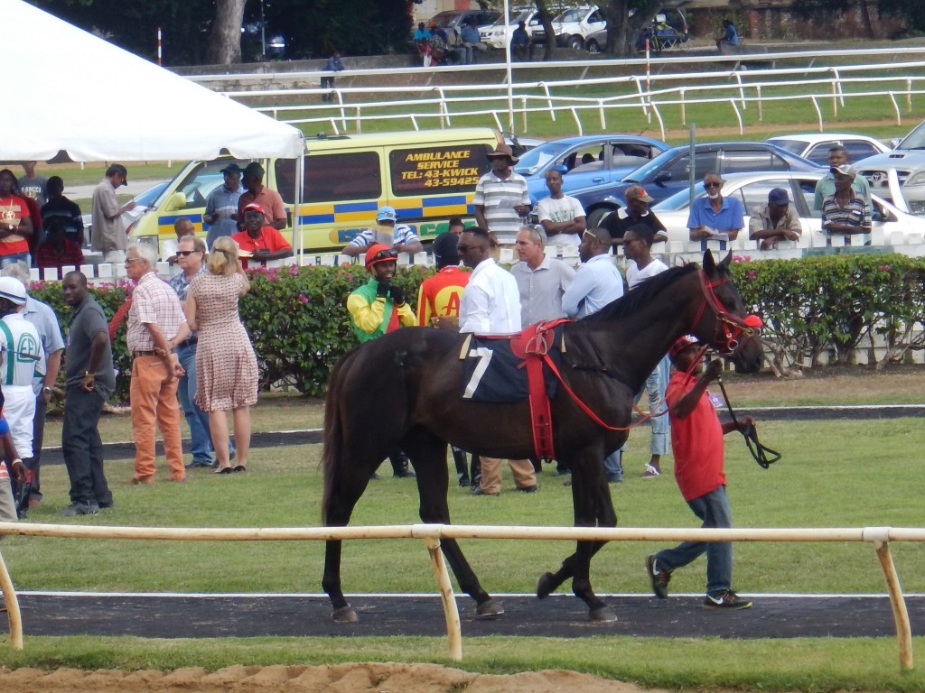 Horse Races, Barbados