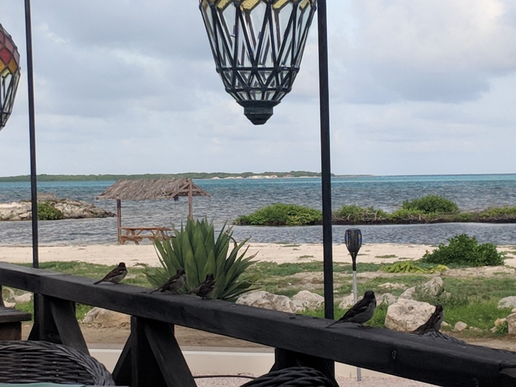 Bonaire-Foodies Resto