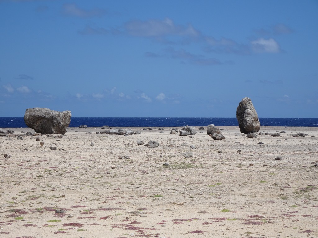 Bonaire- Tsunami Rocks