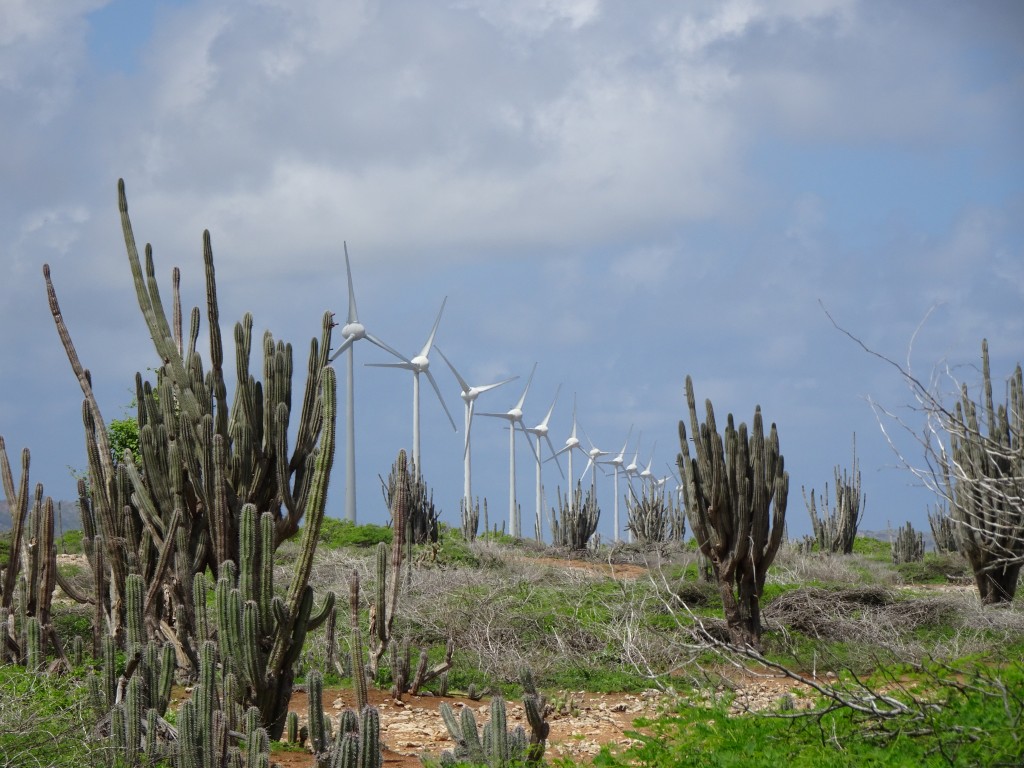 Bonaire East Coast Windmills