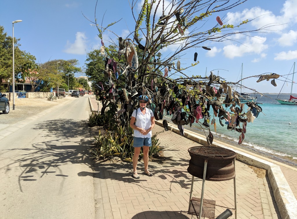 Bonaire Flipflop Tree
