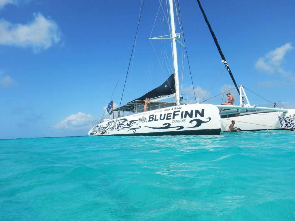 Blue Finn, Curacao