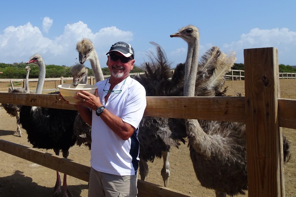 Curacao Ostrich Farm