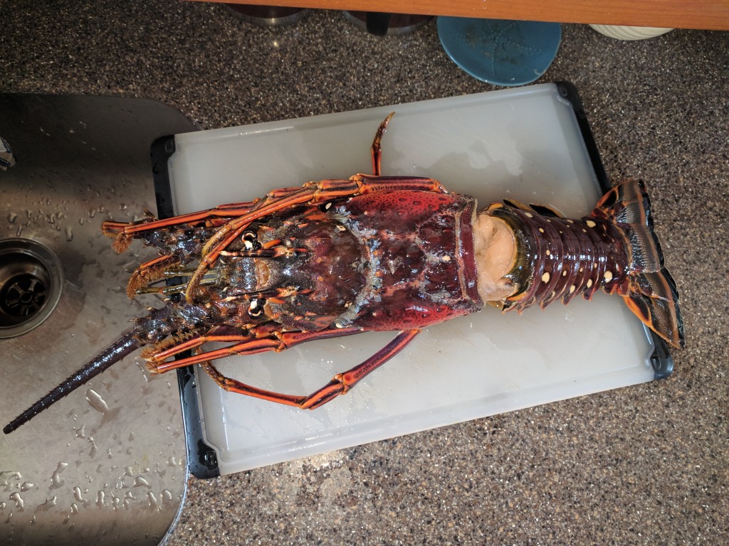 Sandy Island Lobster