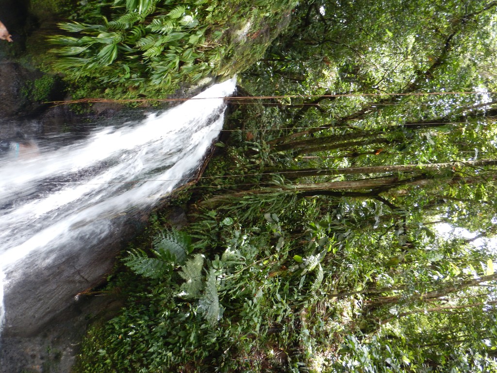 Guadeloupe Waterfall