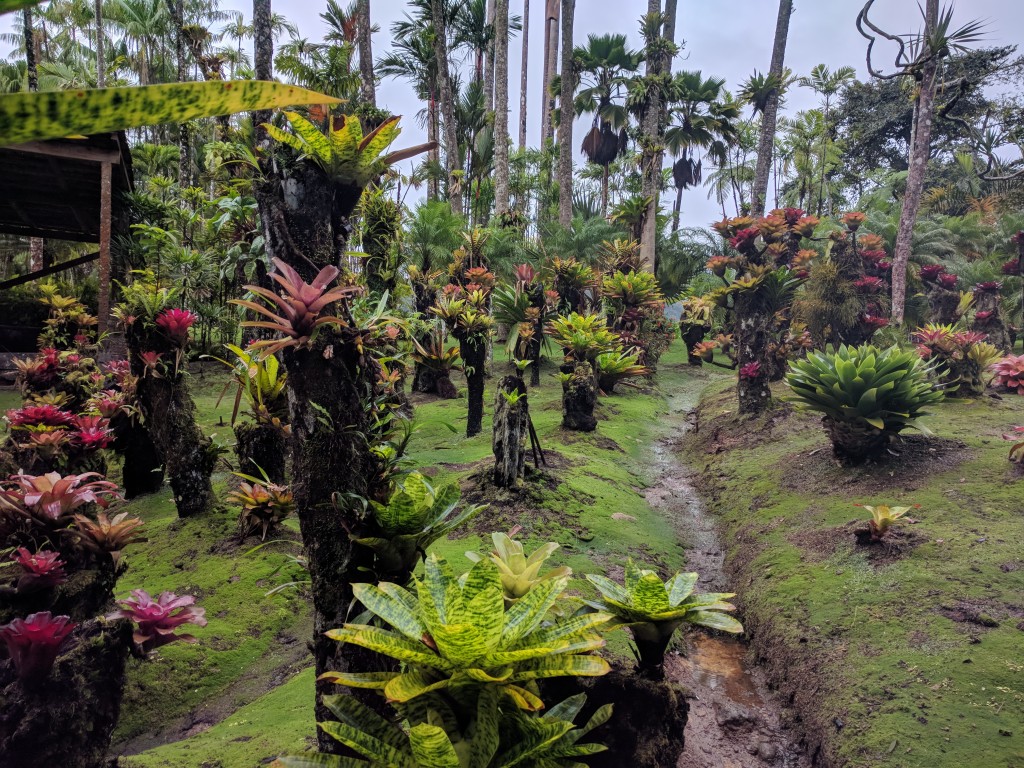 Jardin Balata, Martinique