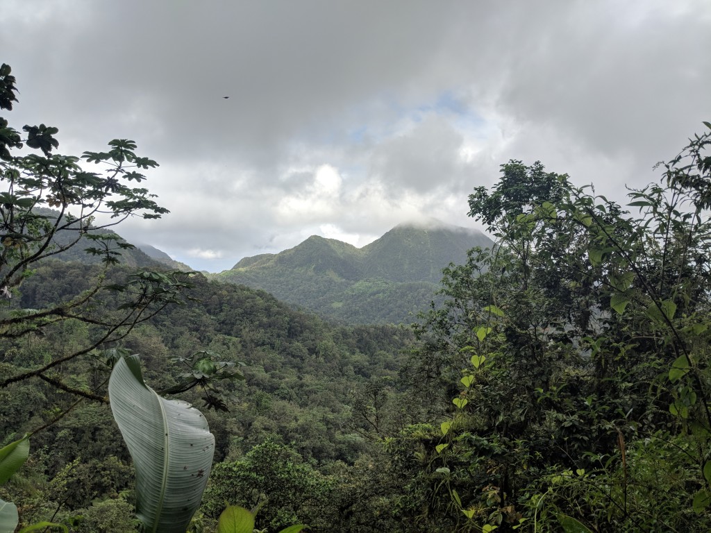 Jesuit Trail Hike, Martinique