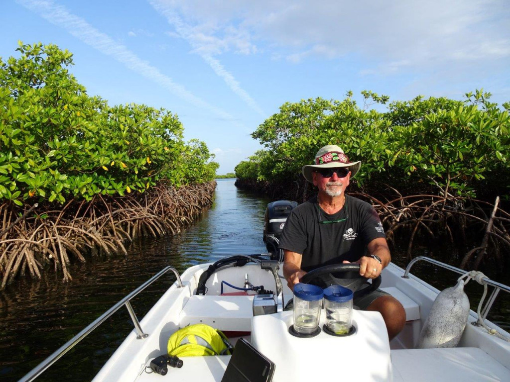 Exploring Mangroves-Bocas