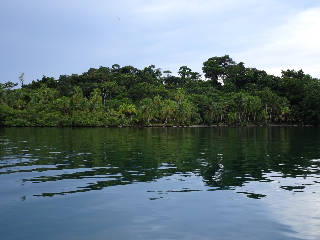 Laguna Bluefield, Bocas