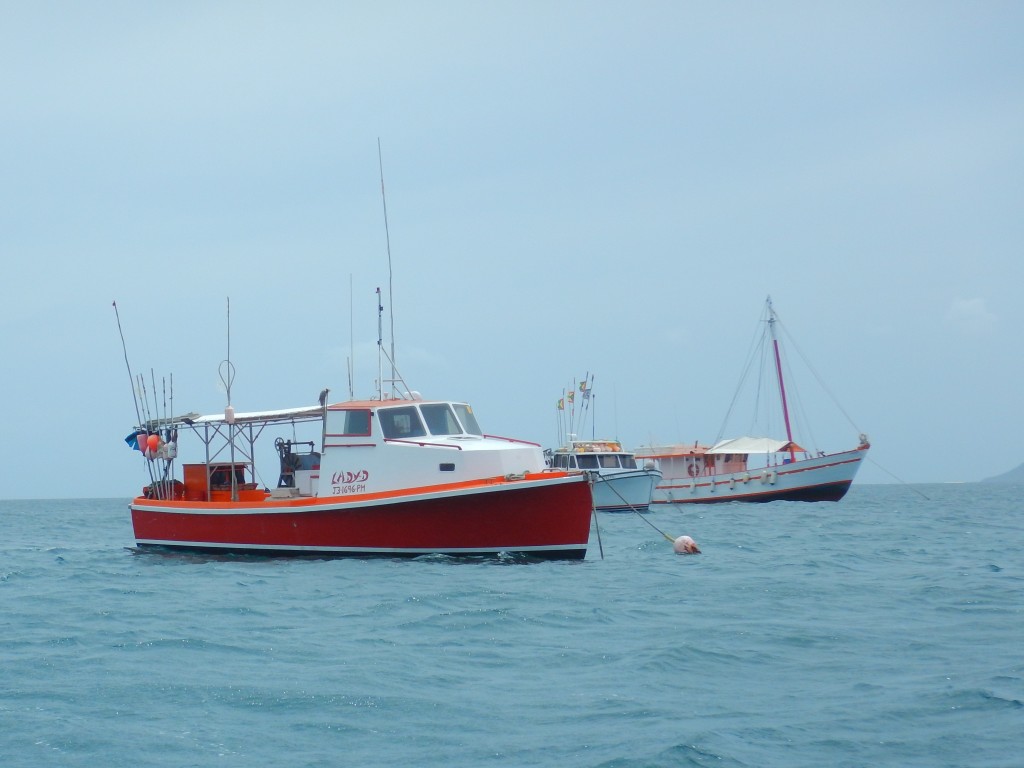 Petit Martinique- Tuna fleet