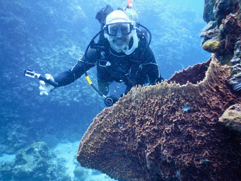 St. Lucia Barrel Sponge