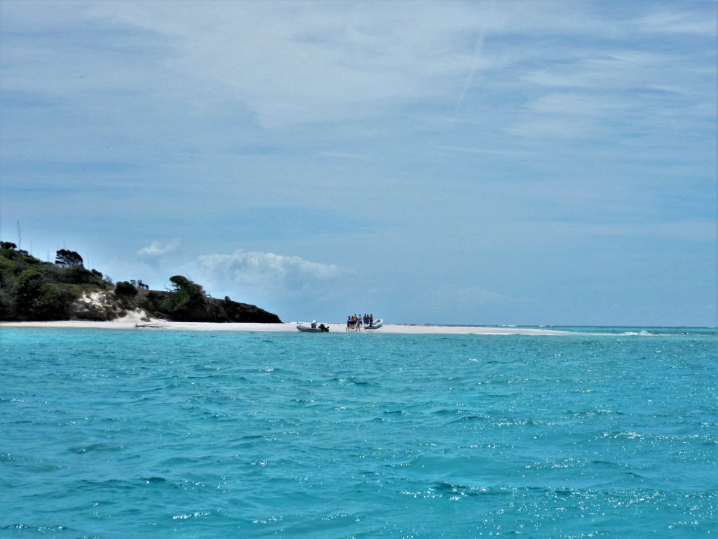 Tobago Cays, Baradel Island