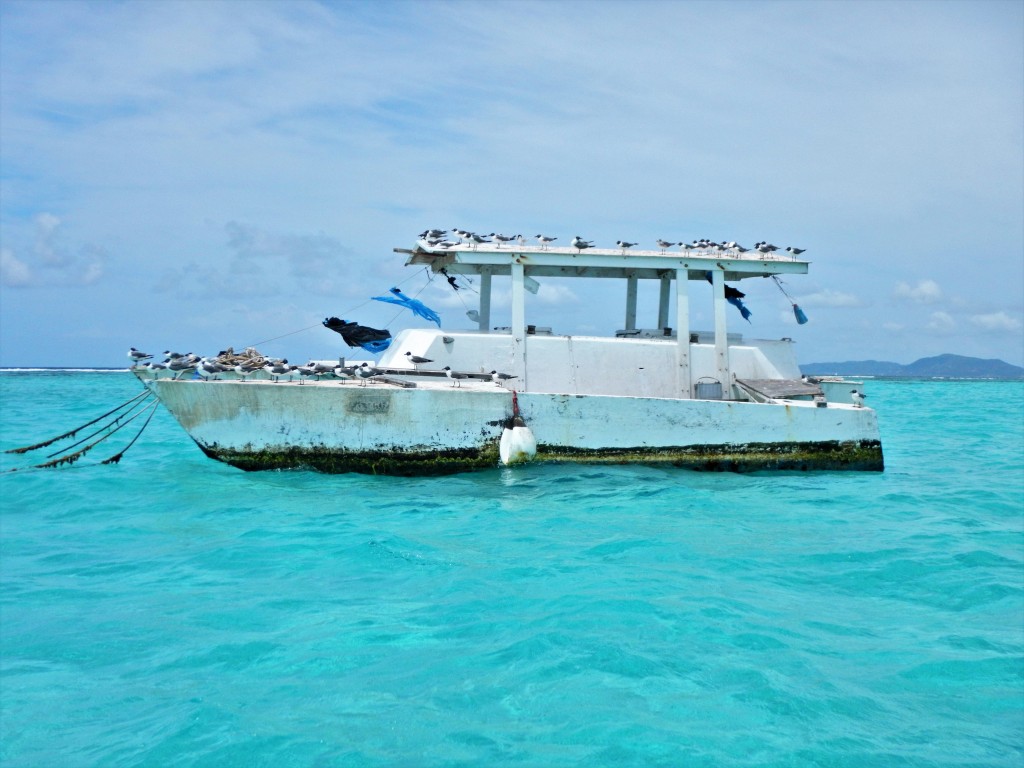 Tobago Cays, Derelict Boat