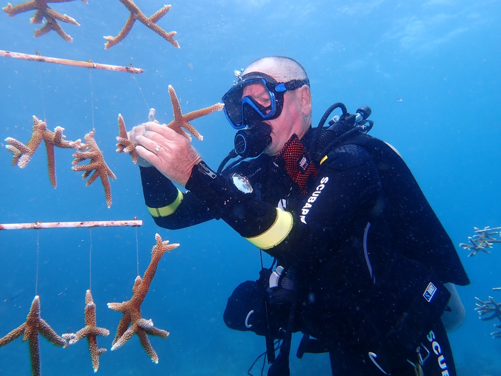 Curacao Coral Restoration